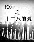 exo֮ʮ��ֻ�İ�