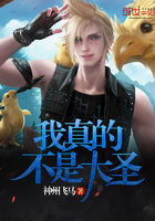 ����Ĳ��Ǵ�ʥ