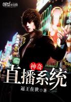 ����ֱ��ϵͳ