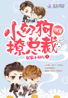 �촩��С�̹������ܲ�