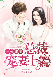 һҹ���ۣ��ܲó������