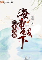 ���۵��µ�С����