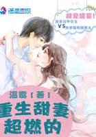 �������޳�ȼ��