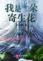 ����һ�������