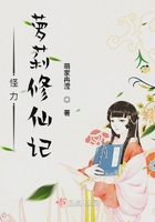 �����������ɼ�