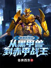 �������ռǣ��Ӻڼ��޵����ս��