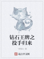 ��ʯ����֮Ͷ�ֹ���