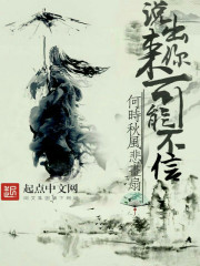 ˵��������ܲ���