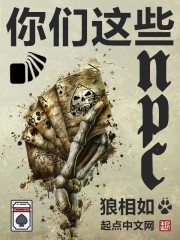 ������ЩNPC