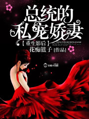 ����Ӱ����ͳ��˽�轿��