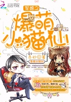 ����֮����Сè��