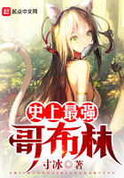 ʷ����ǿ�粼��