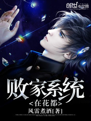 �ܼ�ϵͳ�ڻ���